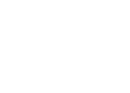 CDP Cassa Depositi e Prestiti — retail and consumer goods sector investor